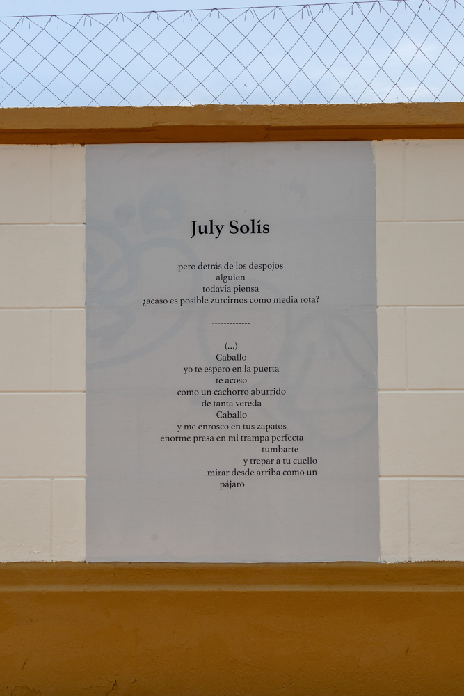 July Solís