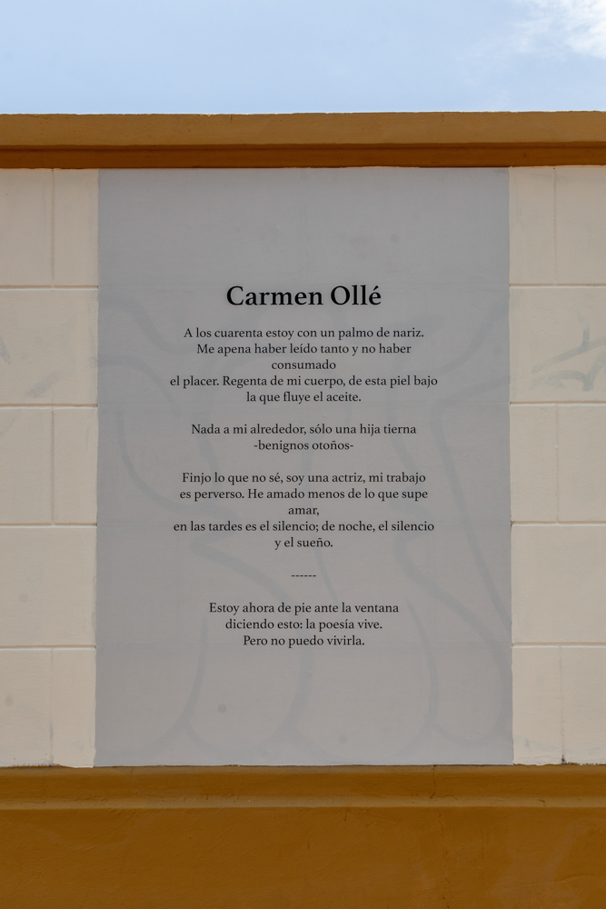 Carmen Ollé